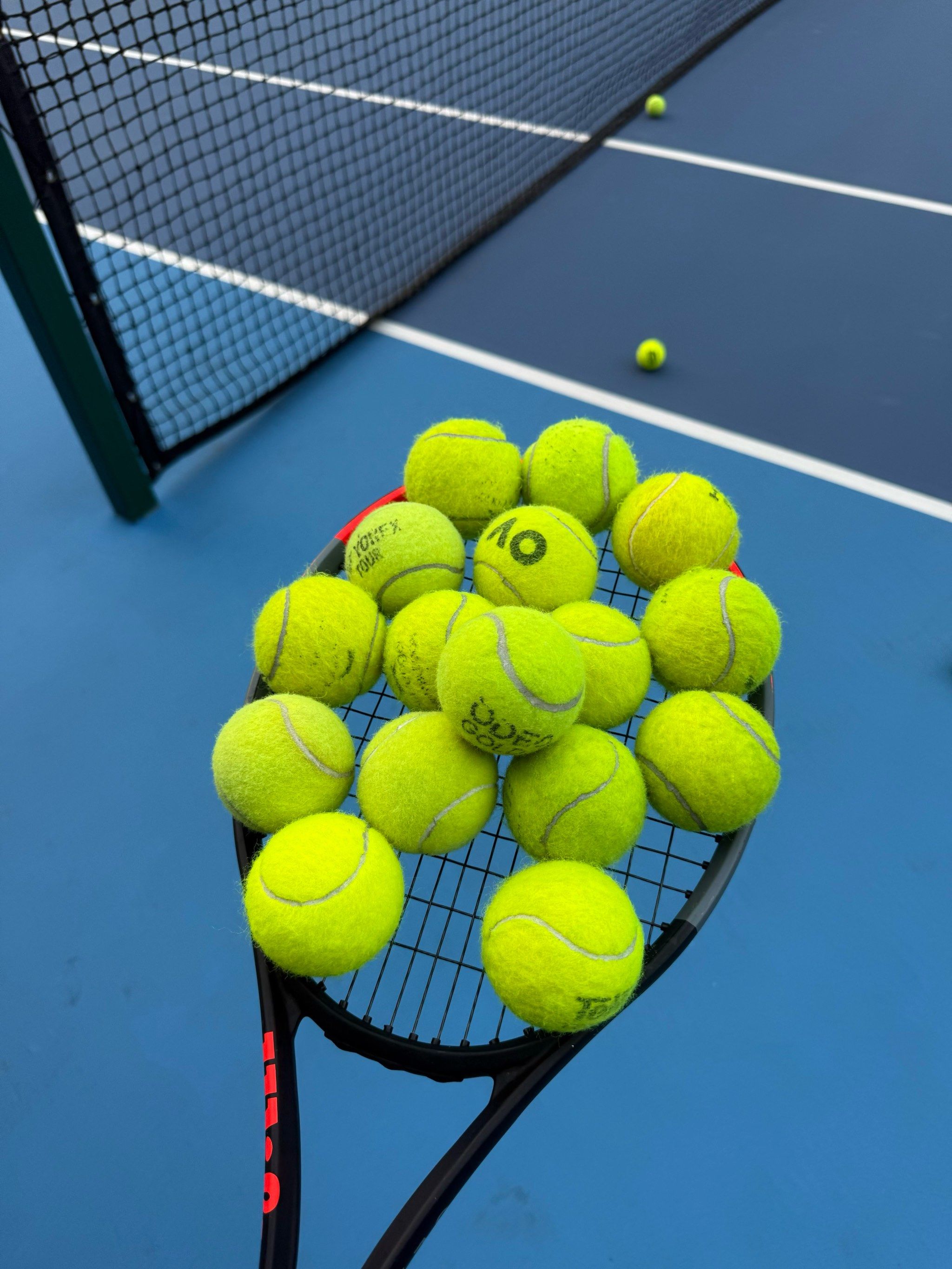 凭借短短一 凭借短短一